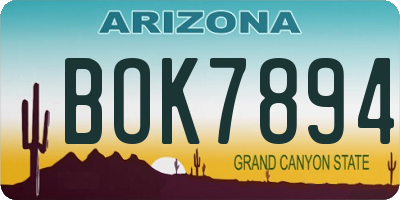 AZ license plate BOK7894