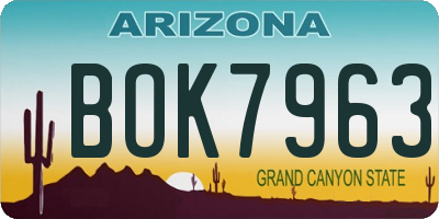 AZ license plate BOK7963