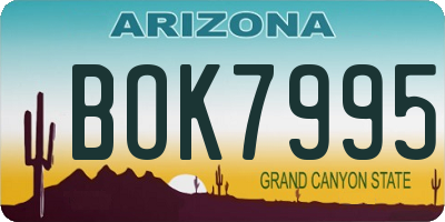 AZ license plate BOK7995