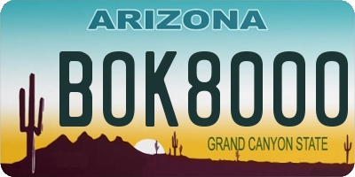 AZ license plate BOK8000