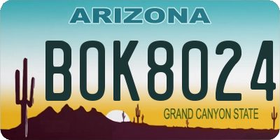 AZ license plate BOK8024
