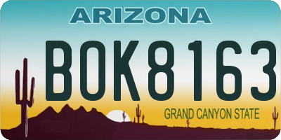 AZ license plate BOK8163