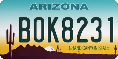 AZ license plate BOK8231