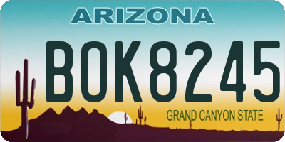 AZ license plate BOK8245