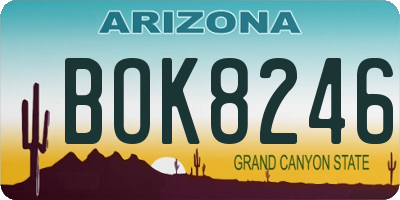 AZ license plate BOK8246