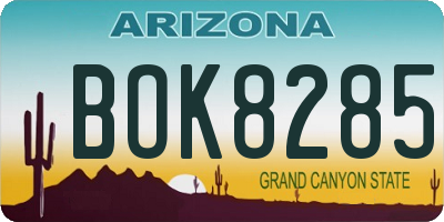 AZ license plate BOK8285