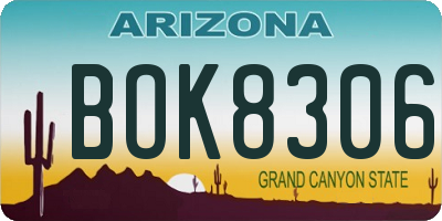 AZ license plate BOK8306