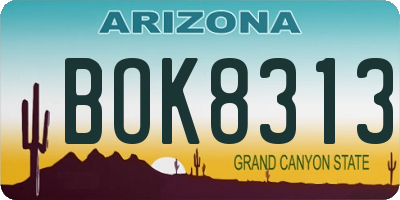 AZ license plate BOK8313
