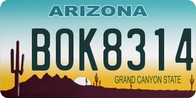 AZ license plate BOK8314