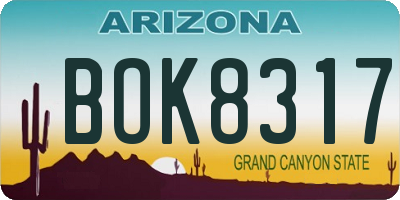 AZ license plate BOK8317
