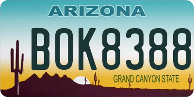 AZ license plate BOK8388