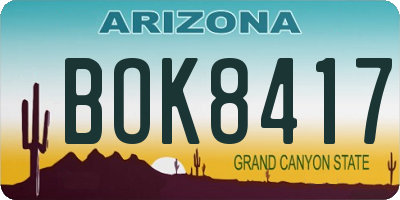 AZ license plate BOK8417