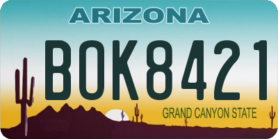 AZ license plate BOK8421