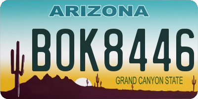 AZ license plate BOK8446