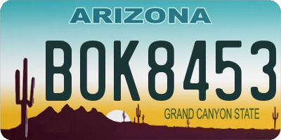 AZ license plate BOK8453