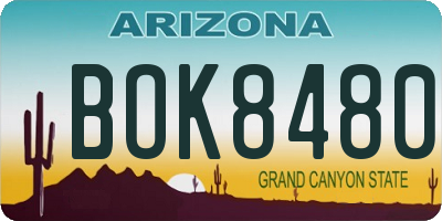 AZ license plate BOK8480