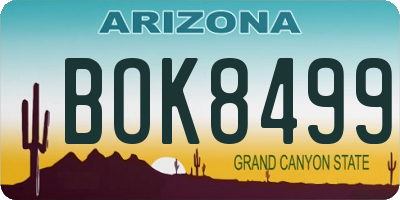 AZ license plate BOK8499