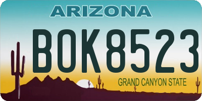 AZ license plate BOK8523