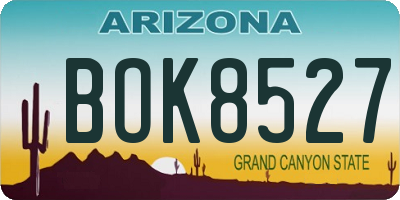 AZ license plate BOK8527