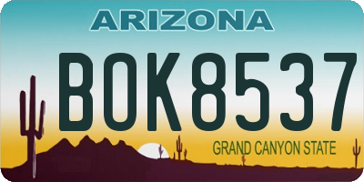 AZ license plate BOK8537