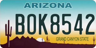 AZ license plate BOK8542