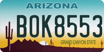 AZ license plate BOK8553