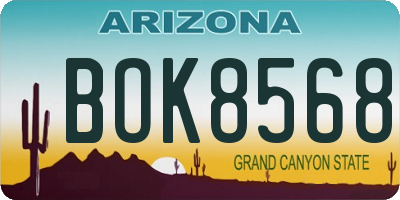 AZ license plate BOK8568