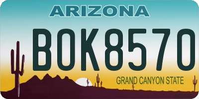 AZ license plate BOK8570