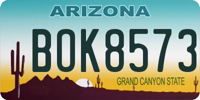 AZ license plate BOK8573