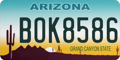 AZ license plate BOK8586