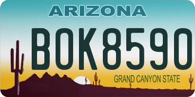AZ license plate BOK8590