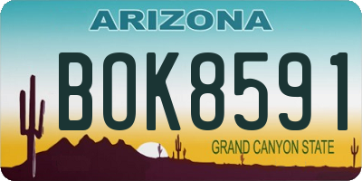 AZ license plate BOK8591