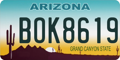 AZ license plate BOK8619