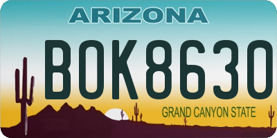 AZ license plate BOK8630