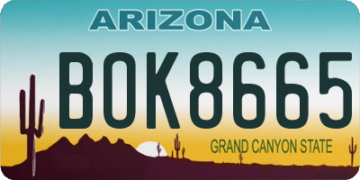 AZ license plate BOK8665