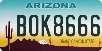 AZ license plate BOK8666