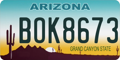 AZ license plate BOK8673
