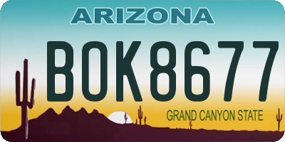 AZ license plate BOK8677