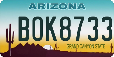 AZ license plate BOK8733