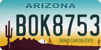 AZ license plate BOK8753