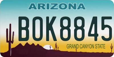 AZ license plate BOK8845
