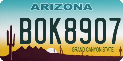AZ license plate BOK8907