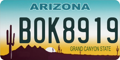 AZ license plate BOK8919
