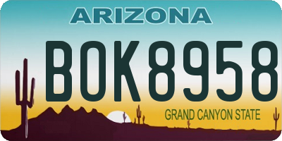 AZ license plate BOK8958