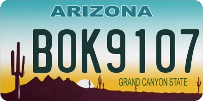 AZ license plate BOK9107