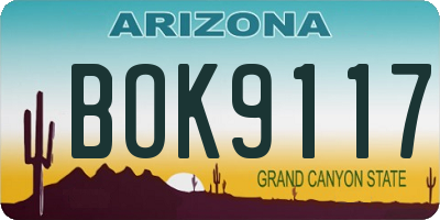 AZ license plate BOK9117