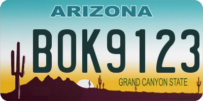 AZ license plate BOK9123