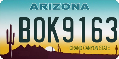 AZ license plate BOK9163