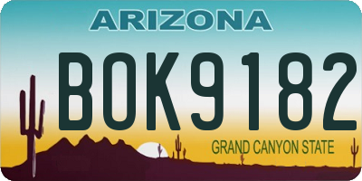 AZ license plate BOK9182