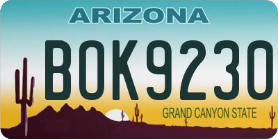 AZ license plate BOK9230